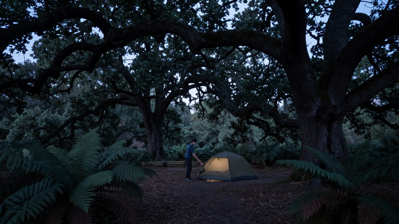 What is Stealth Camping? A Guide to Low-Impact Hidden Camping